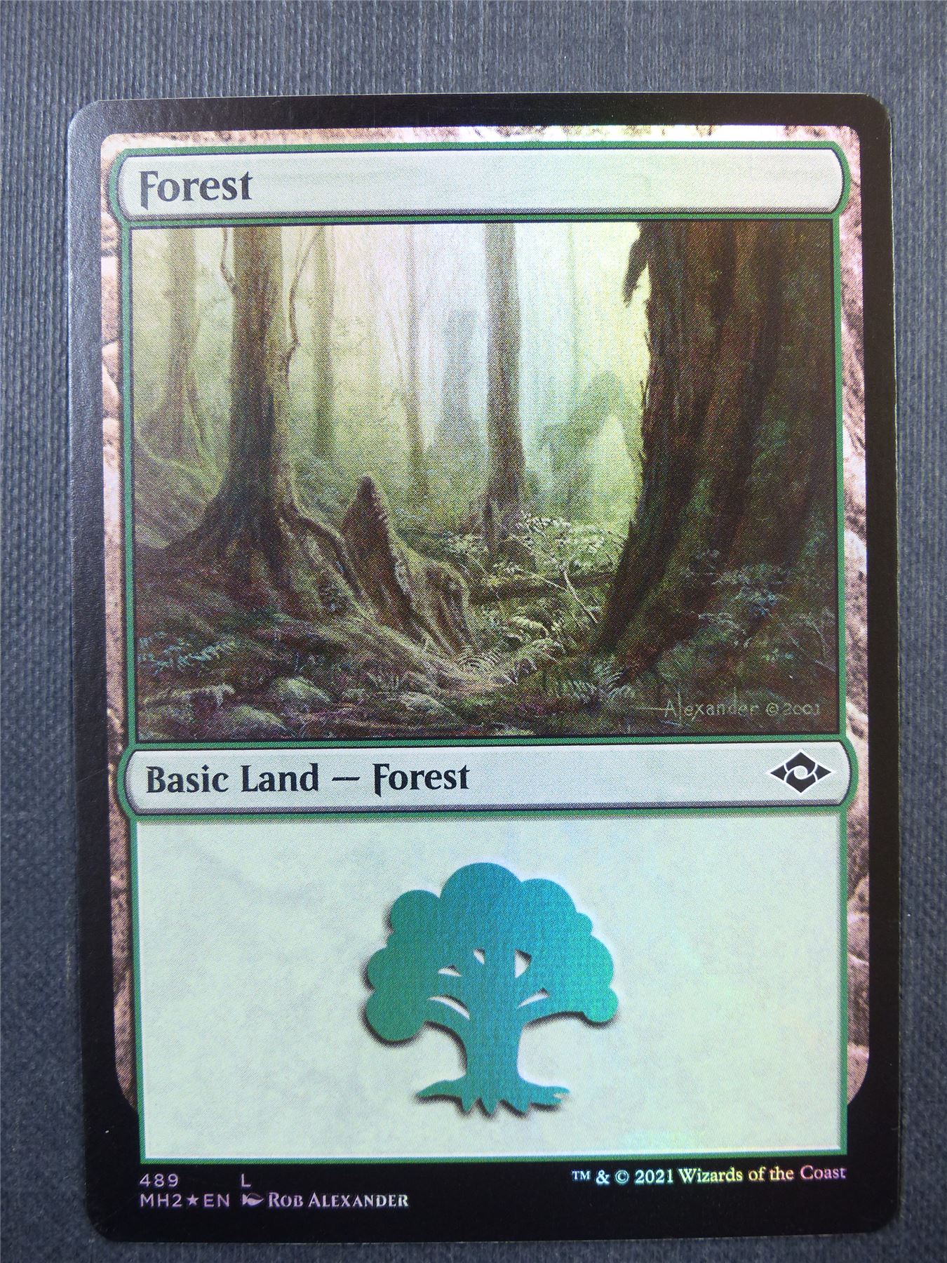 Forest 489 Foil - Modern Horizons 2 - Mtg Card #40P
