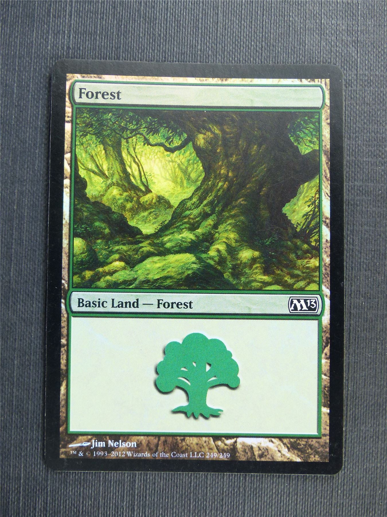 Forest 249/249 Foil - Mtg Magic Cards #52I
