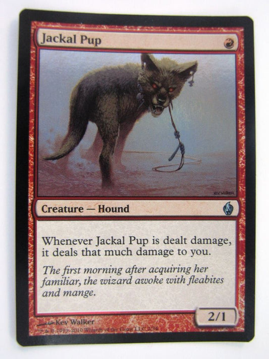 MTG Magic Cards: FOIL Premium: JACKAL PUP # 6A87