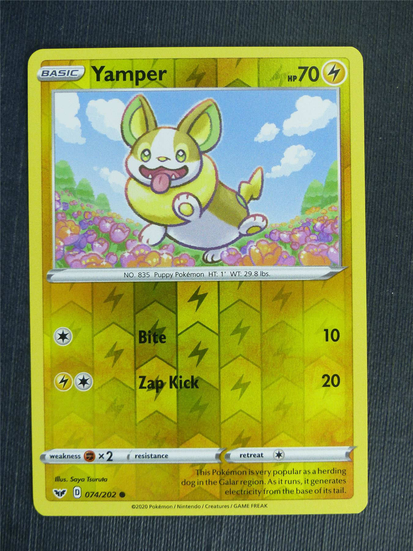 Yamper 074/202 Reverse Holo - Pokemon Cards #2G8