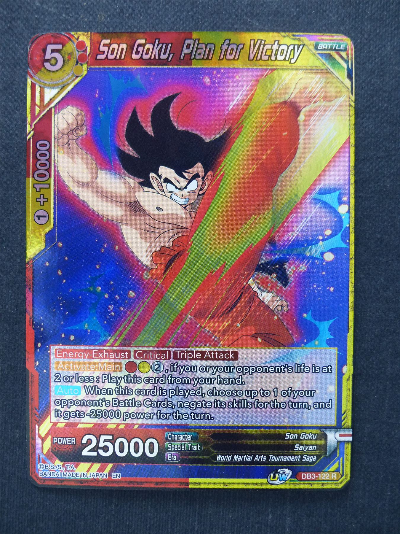 Son Goku Plan for Victory