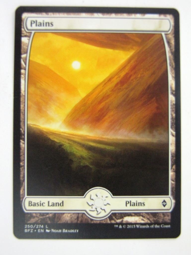 MTG Magic Cards: Zendikar PLAINS # 1E80