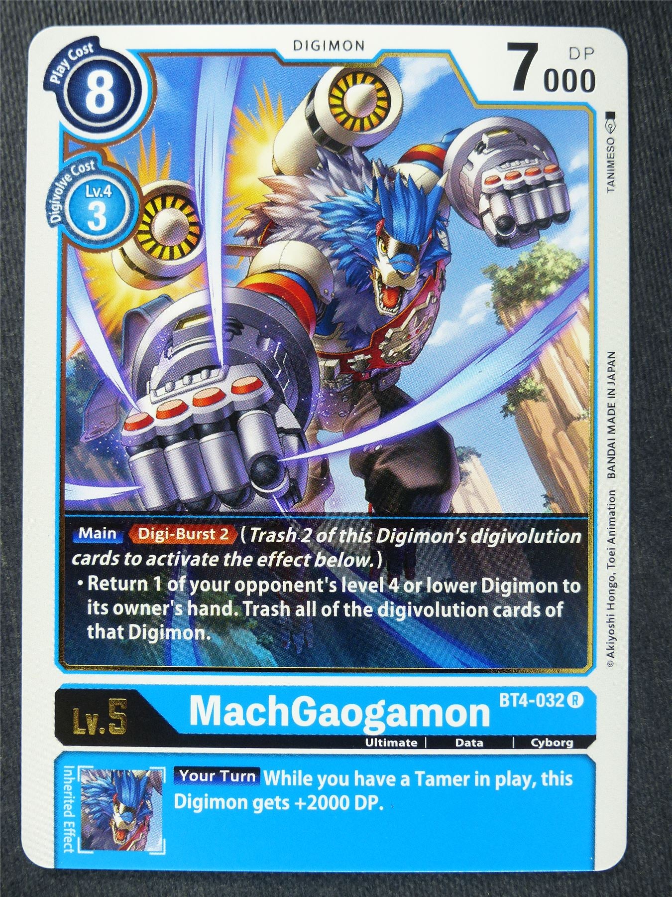 MachGoagamon BT4-032 R - Digimon Cards #YE