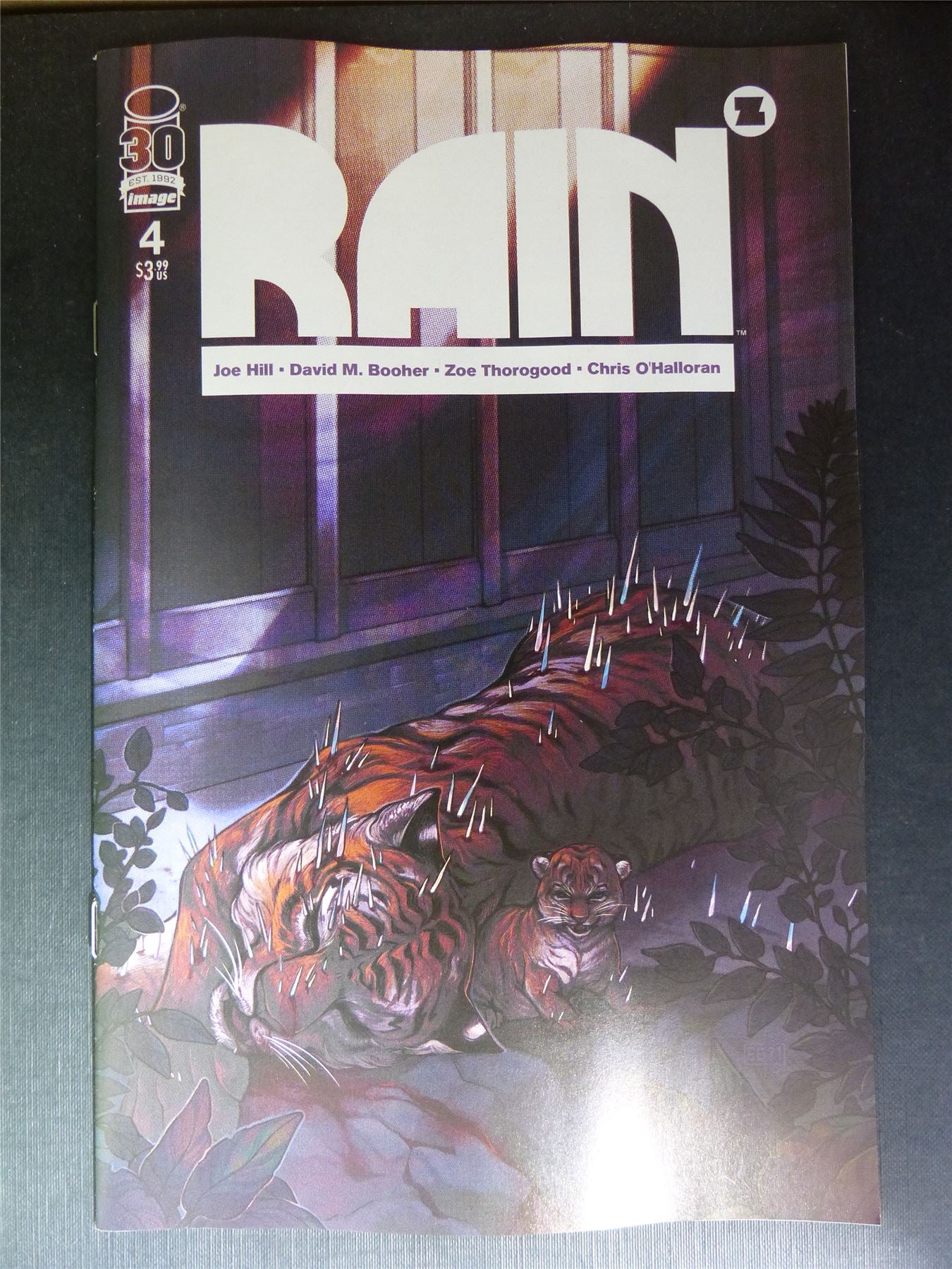 RAIN #4 - Apr 2022 - Image Comics #CD