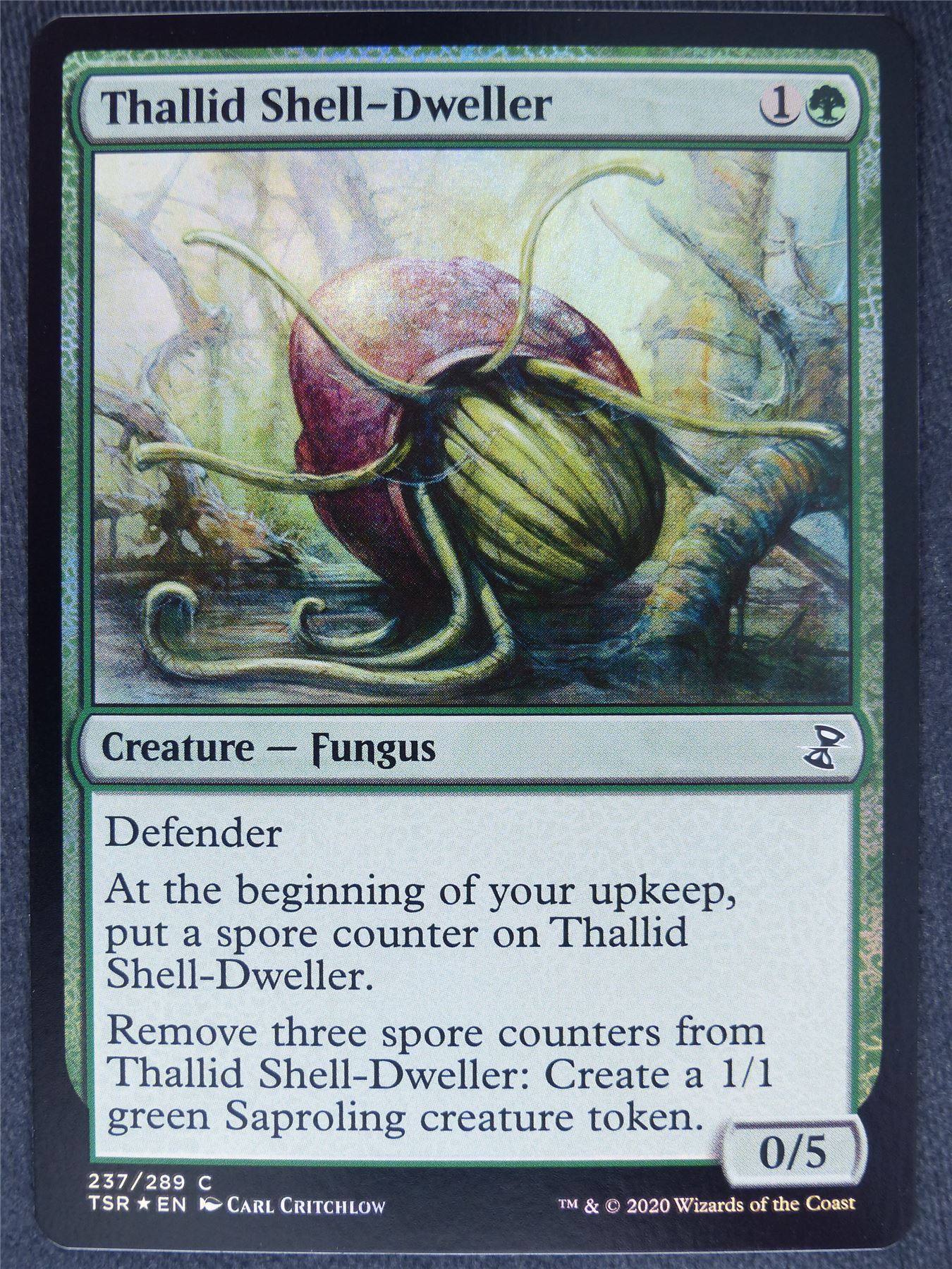 Thallid Shell-Dweller Foil Mint - Mtg Magic Cards #4J