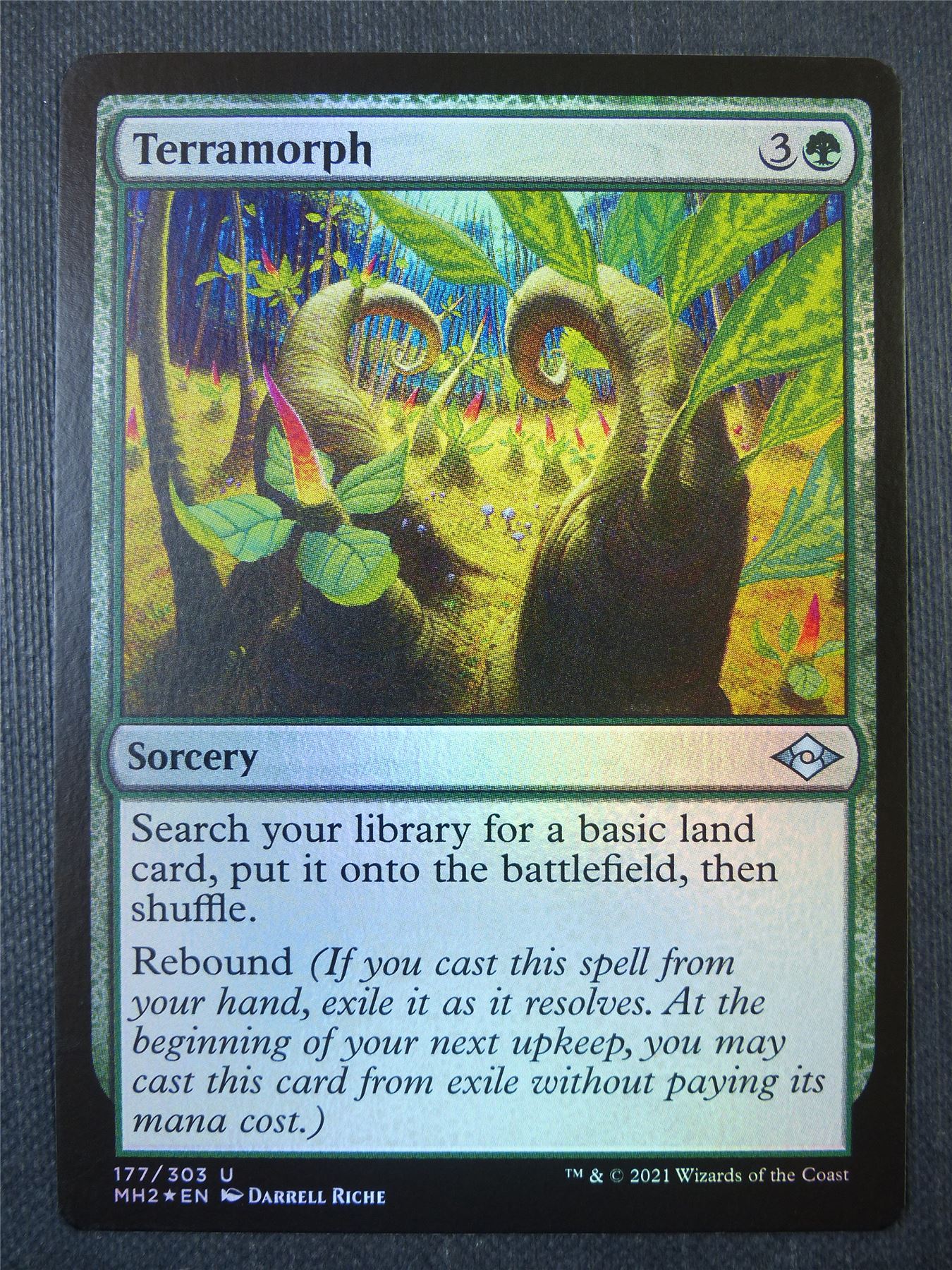 mtg cards with rebound Terramorph Foil