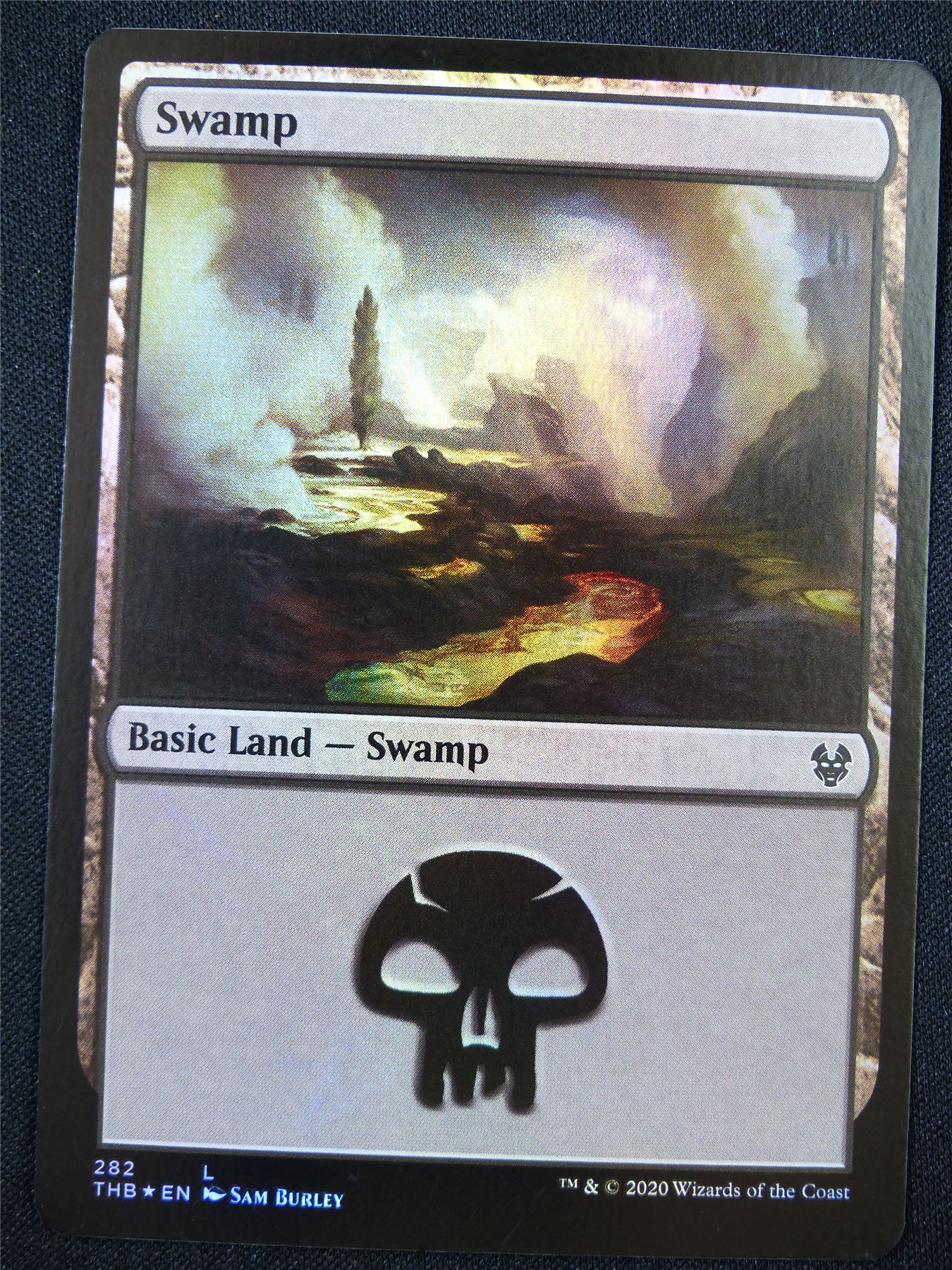 Swamp 282 Foil - Mtg Card #22Y