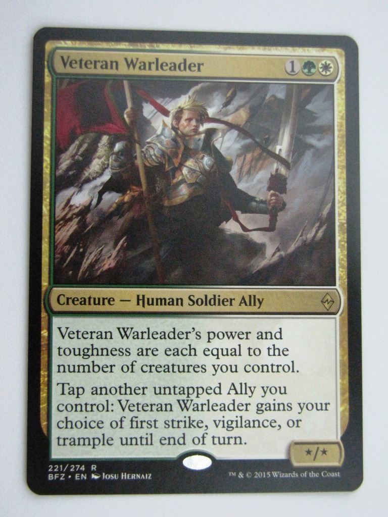 MTG Magic Cards: VETERAN WARLEADER # B67