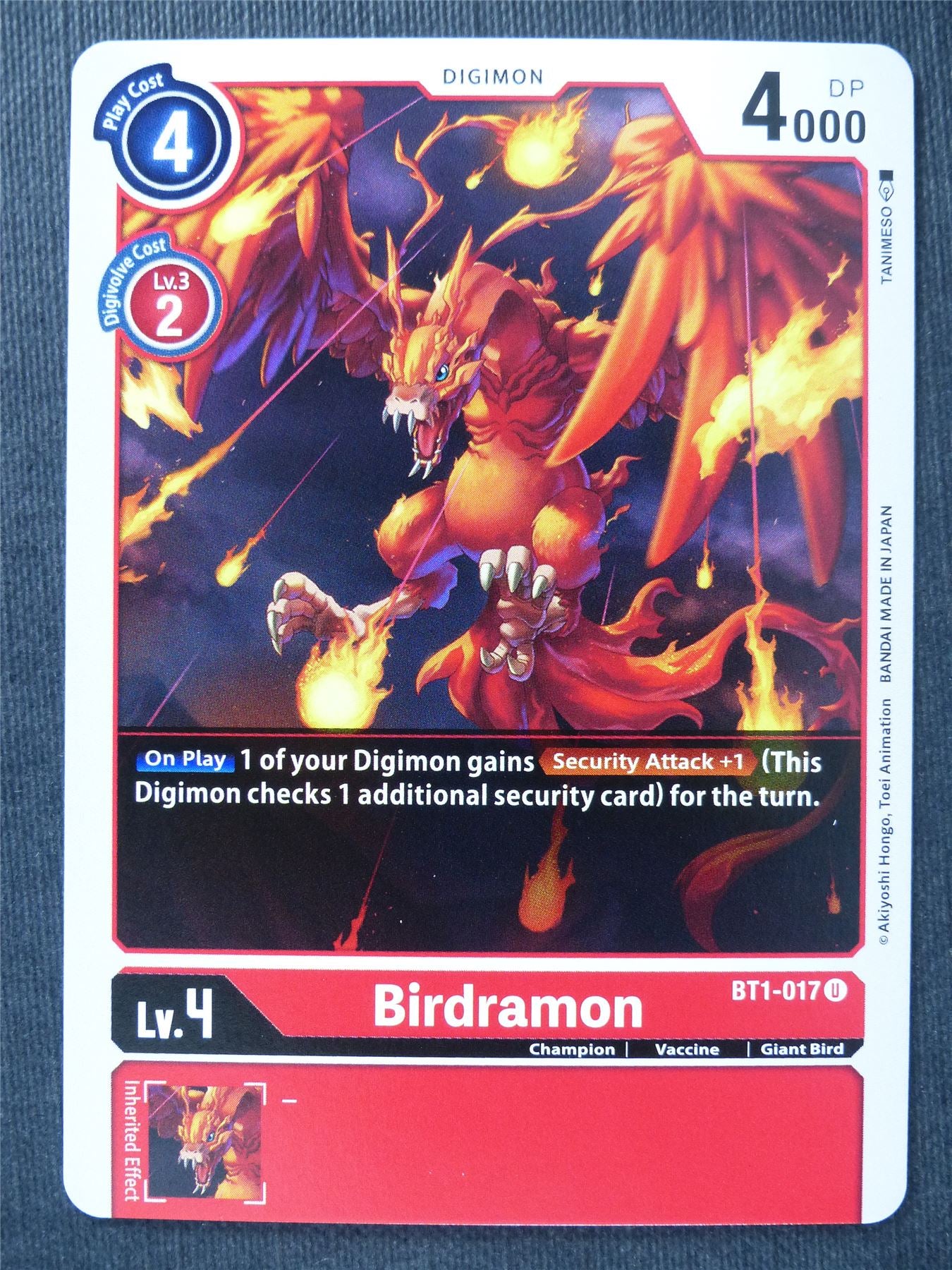 Birdramon BT1-017 U - Digimon Cards #RN