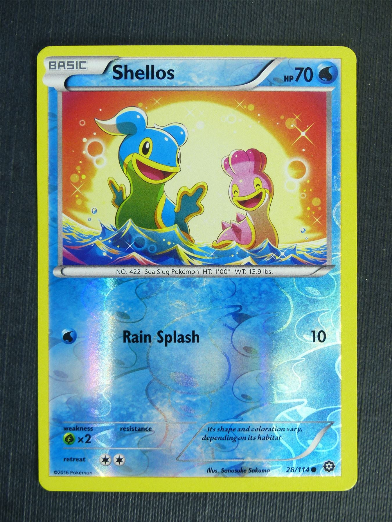 Shellos 28/114 Reverse Holo - Pokemon Cards #2FA