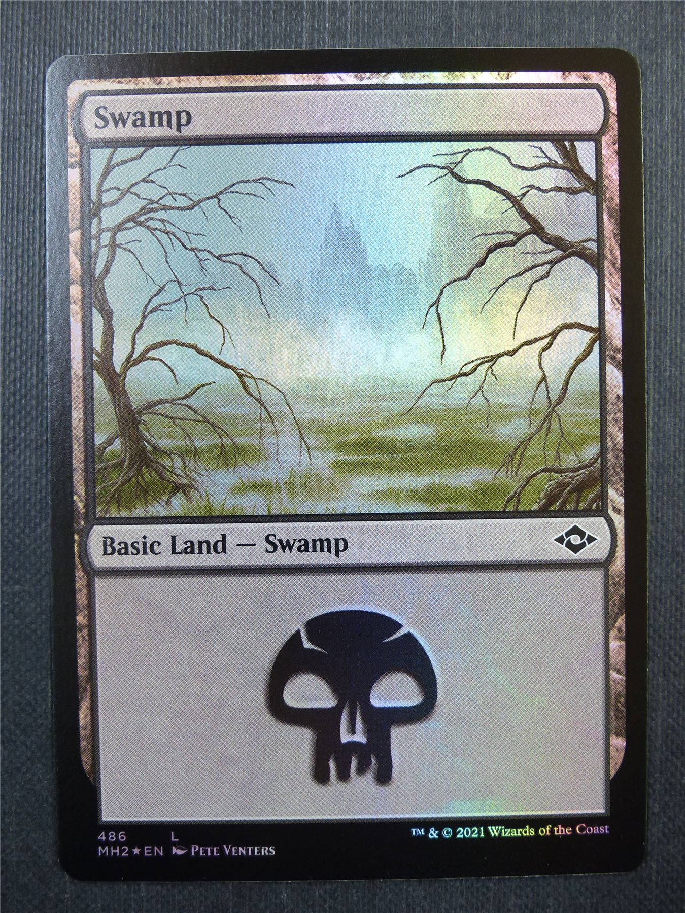 Swamp 486 Foil - Modern Horizons 2 - Mtg Card #40G