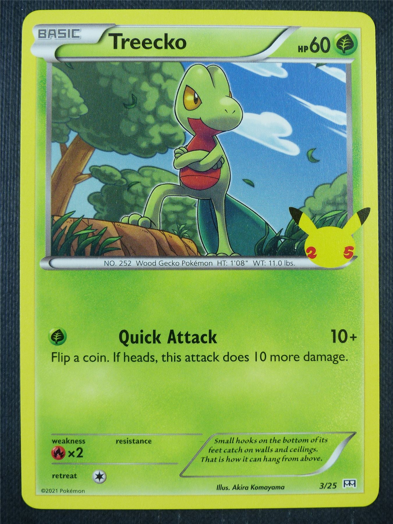 Treecko 3/25 - Pokemon Card #8WZ