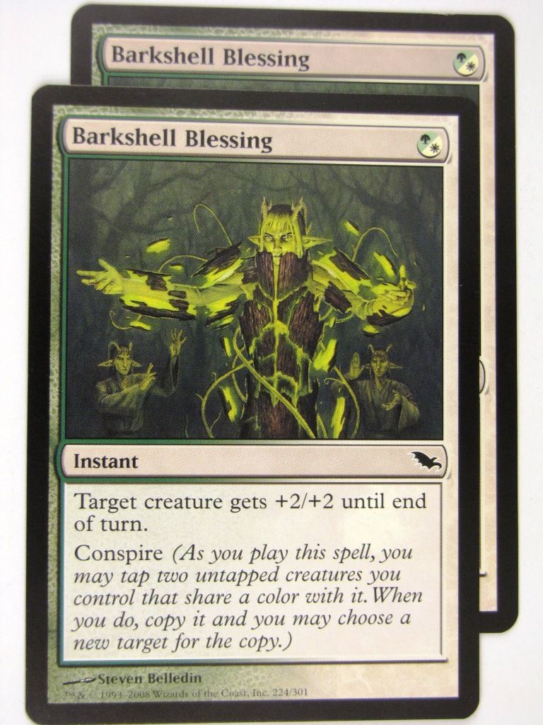MTG Magic: the Gathering Cards: BARKSHELL BLESSING x2: SHM