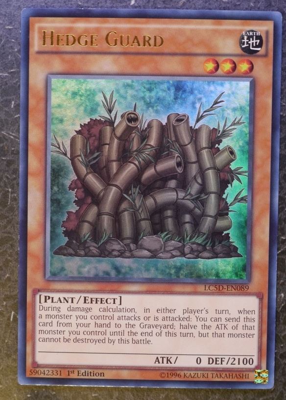 Yugioh Cards: HEDGE GUARD LC5D SUPER RARE # 2I22