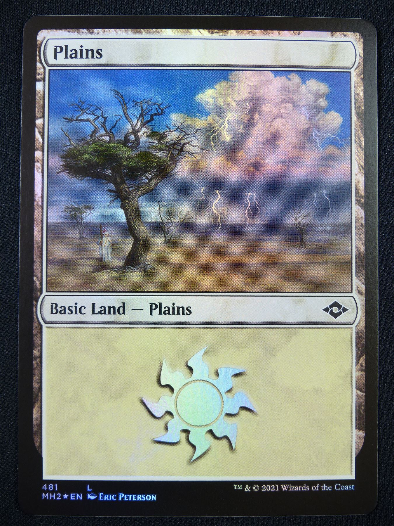Plains 481 Foil - Mtg Card #22O