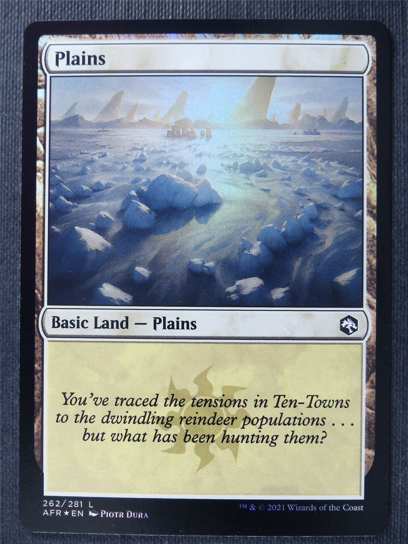 Plains 262/281 Foil - AFR - Mtg Card #2C5