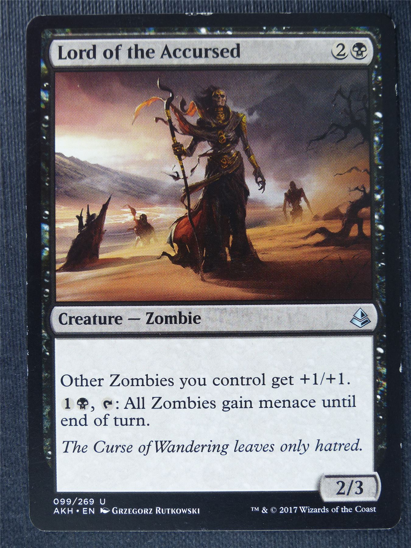 Lord of the Accursed played - Mtg Magic Cards #1B8