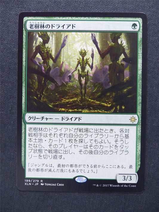 Old-Growth Dryads japanese - Mtg Magic Cards #HP