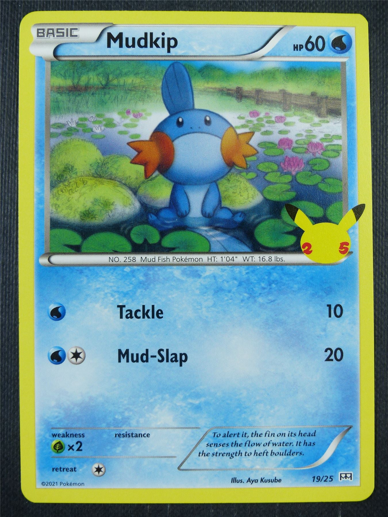 Mudkip 19/25 - Pokemon Card #8WK