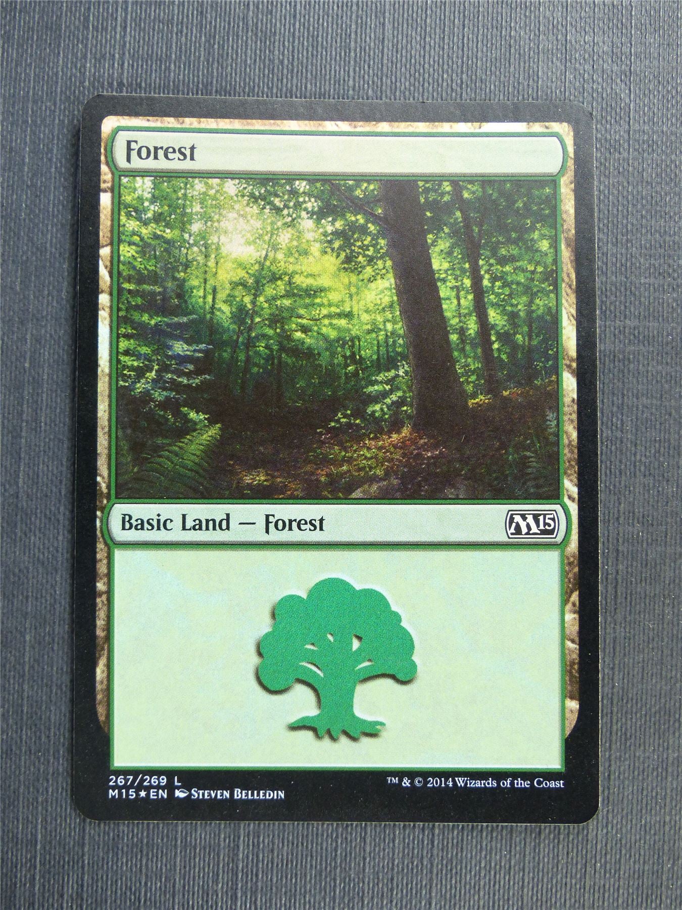 Forest 267/269 Foil - Mtg Magic Cards #52L
