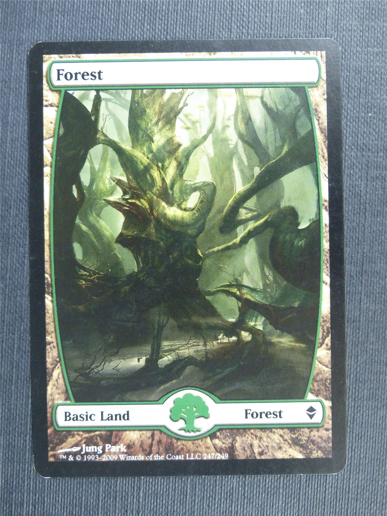 Forest 247/249 full art - Mtg Magic Cards #34R