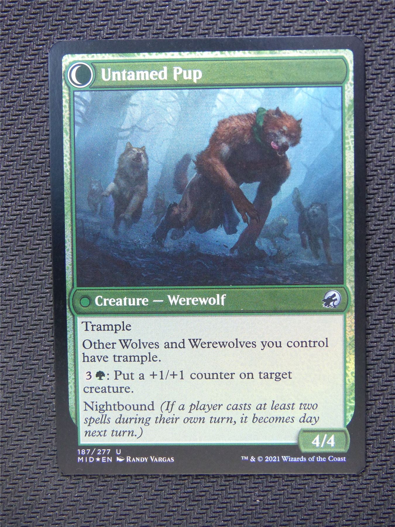 Hound Tamer Untamed Pup Foil - Innistrad - Mtg Card #3NN