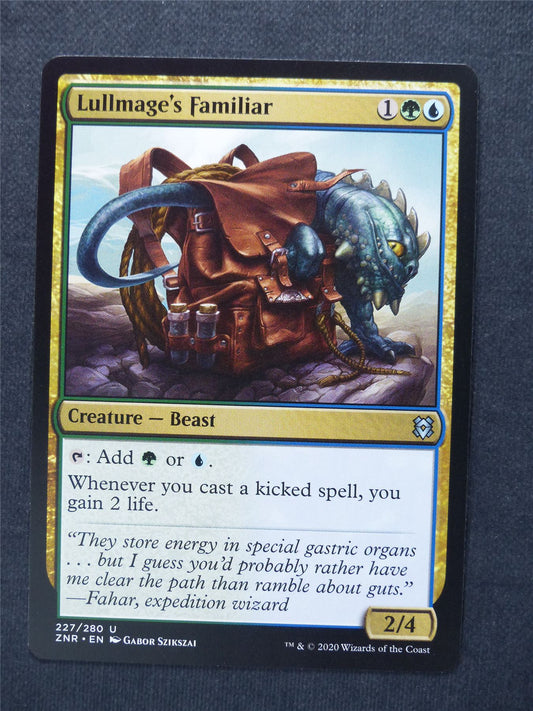 Lullmage's Familiar - Mtg Magic Cards #A9