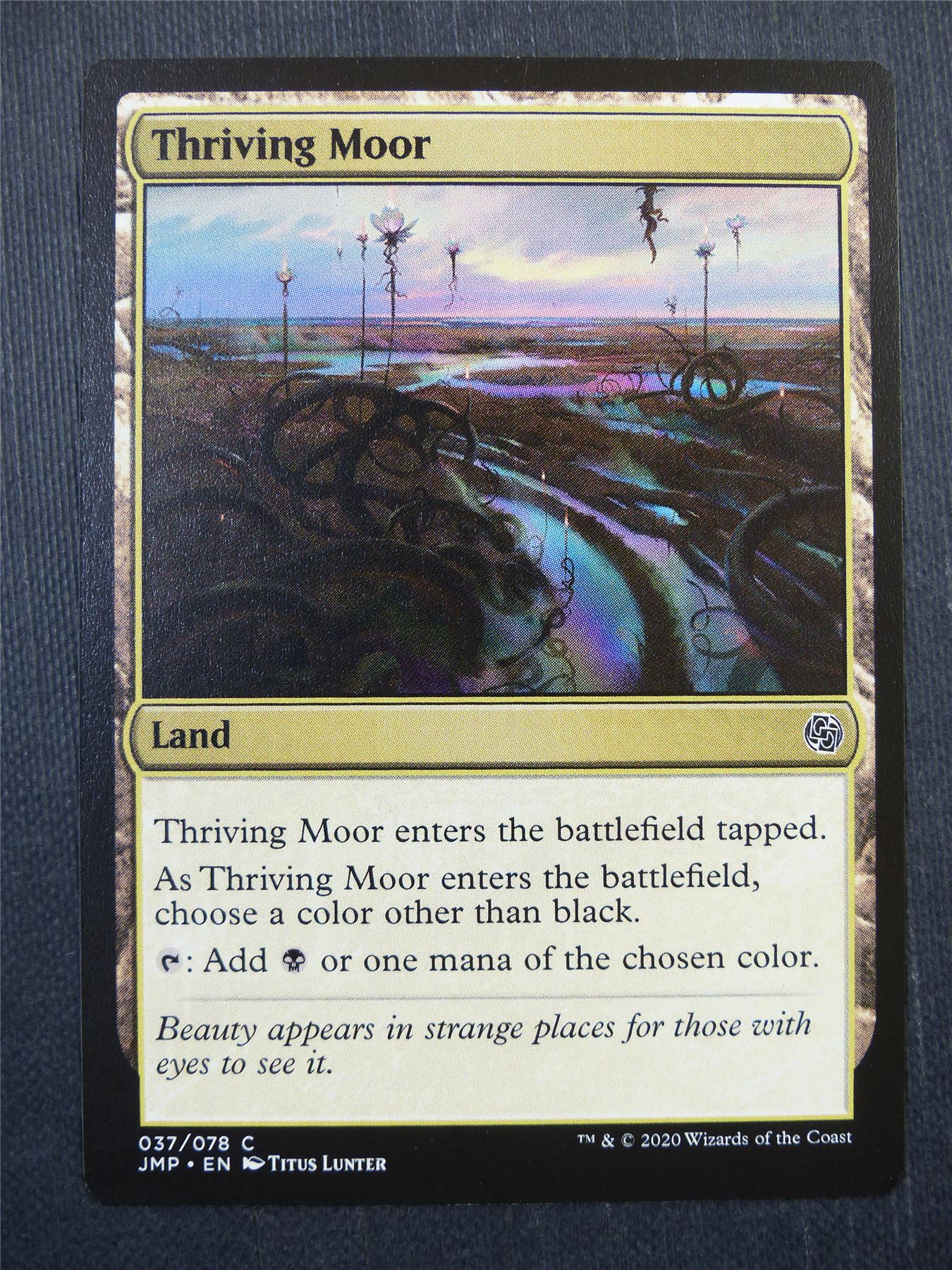 Thriving Moor - Mtg Card #4CZ