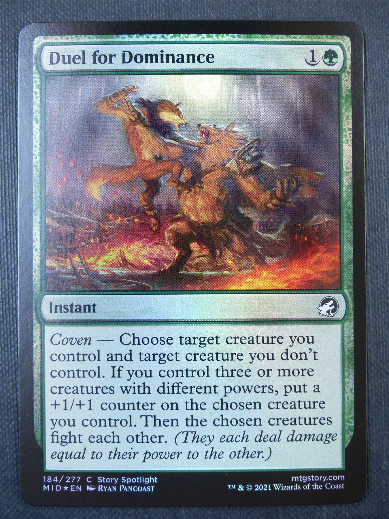 Duel for Dominance Foil - Mtg Card #995