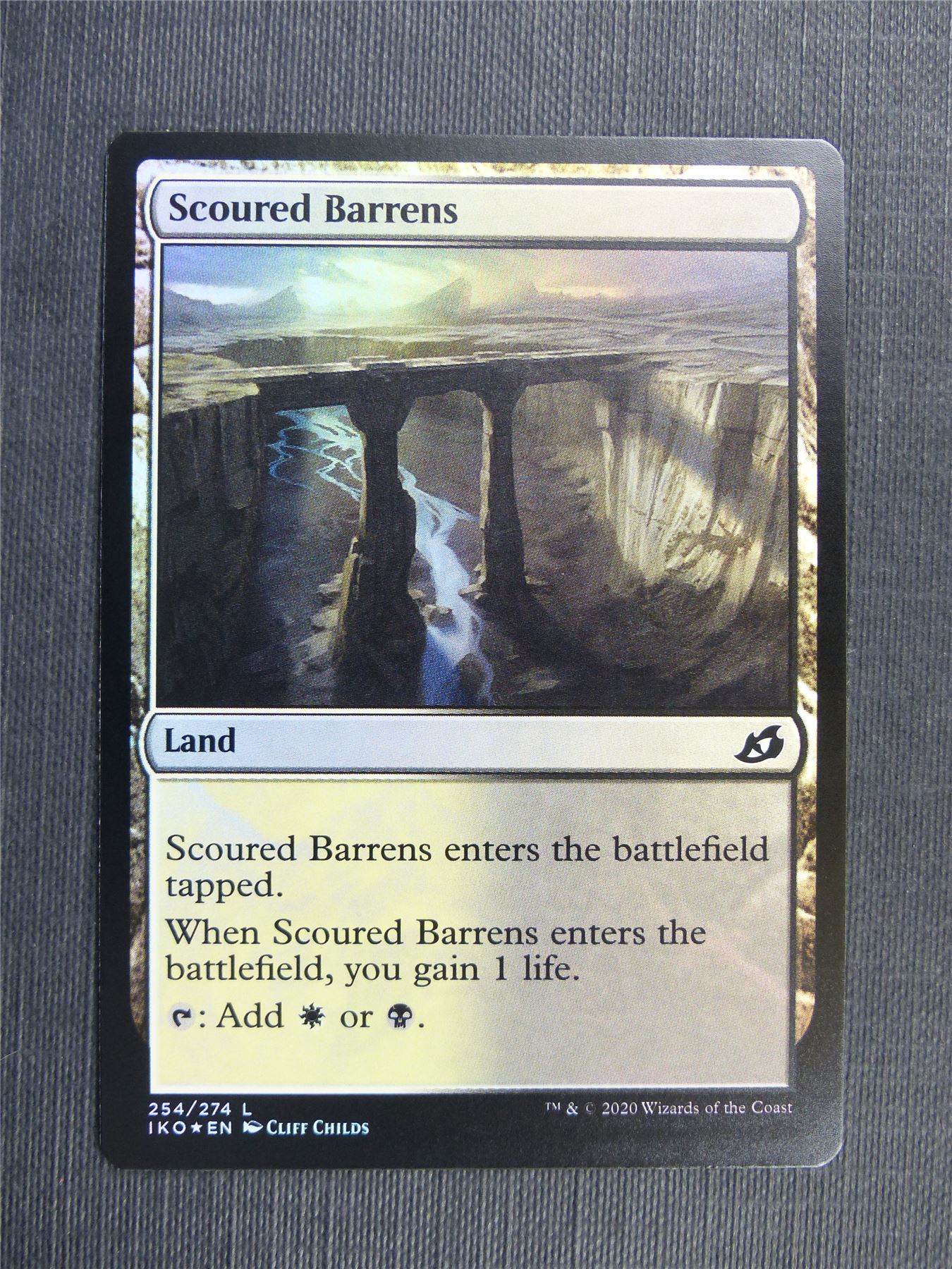 Scoured Barrens Foil - IKO - Mtg Card