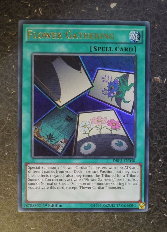 YuGiOh Cards: FLOWER GATHERING DRL3 ULTRA RARE # G44