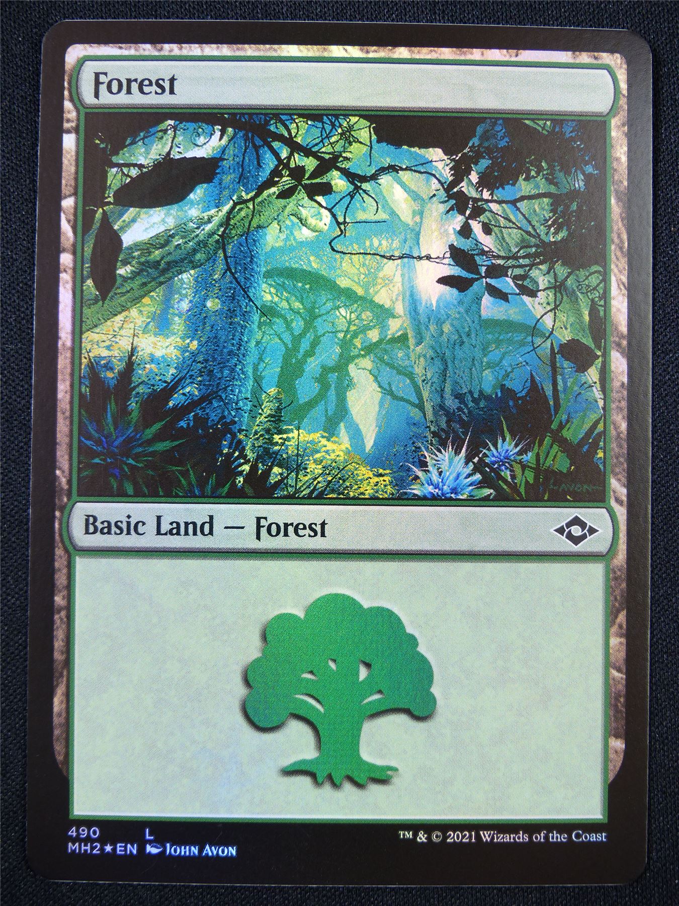 Forest 490 Foil - Mtg Card #22M