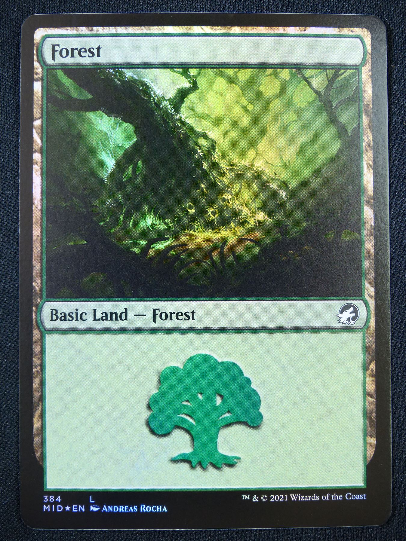 Forest 384 Foil - Mtg Card #22B