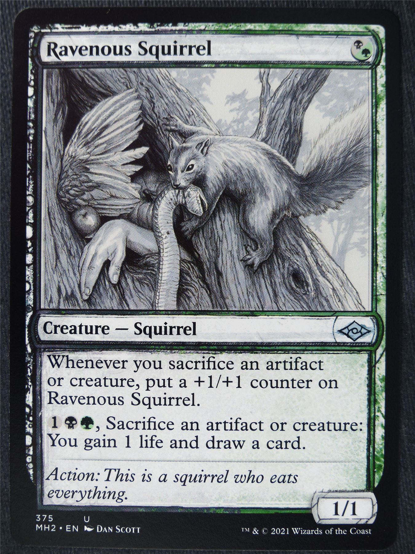 Ravenous Squirrel Sketch - Mtg Magic Cards #QU