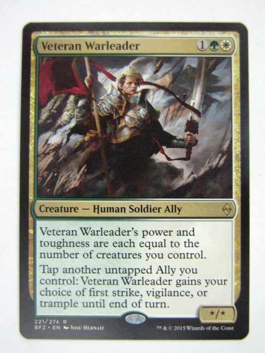 MTG Magic Cards: VETERAN WARLEADER # 9A48