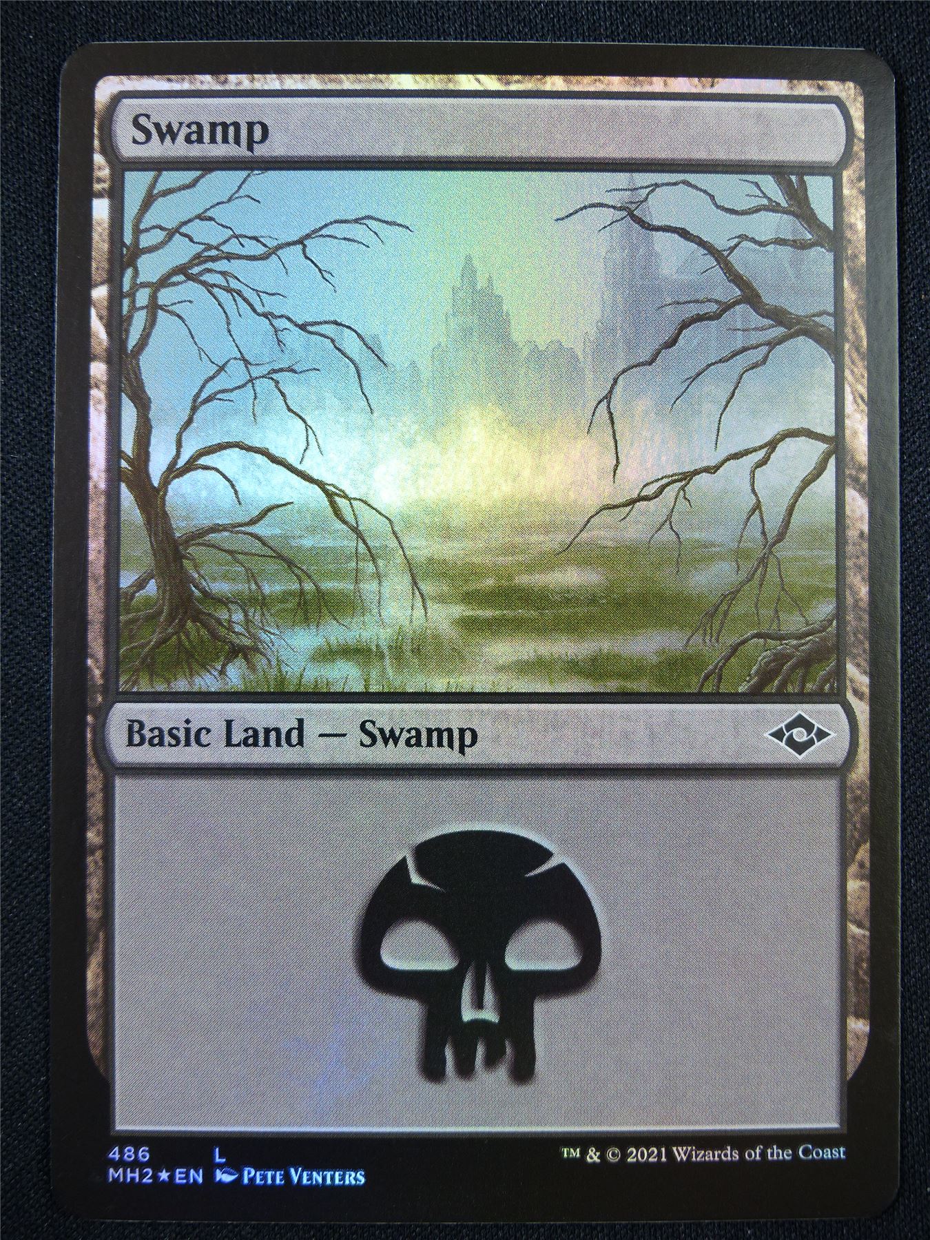 Swamp 486 Foil - Mtg Card #22G