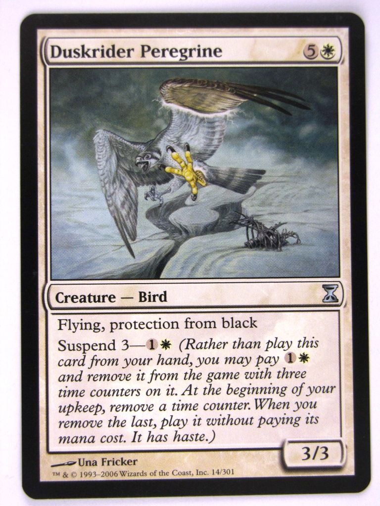 MTG Magic: The Gathering Cards: DUSKRIDER PEREGRINE: TSP