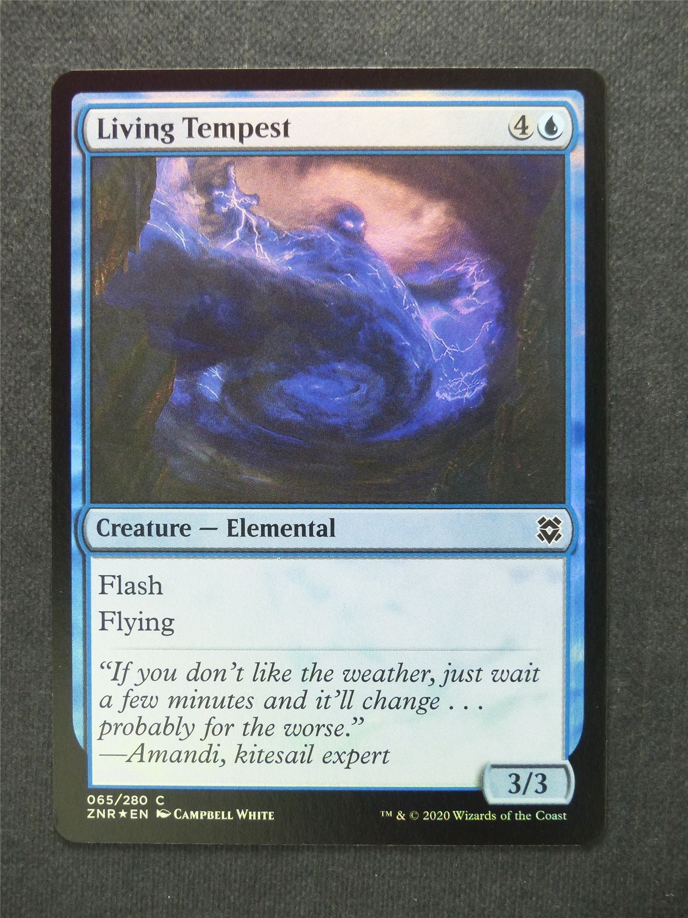 Living Tempest Foil - Mtg Magic Cards #LG