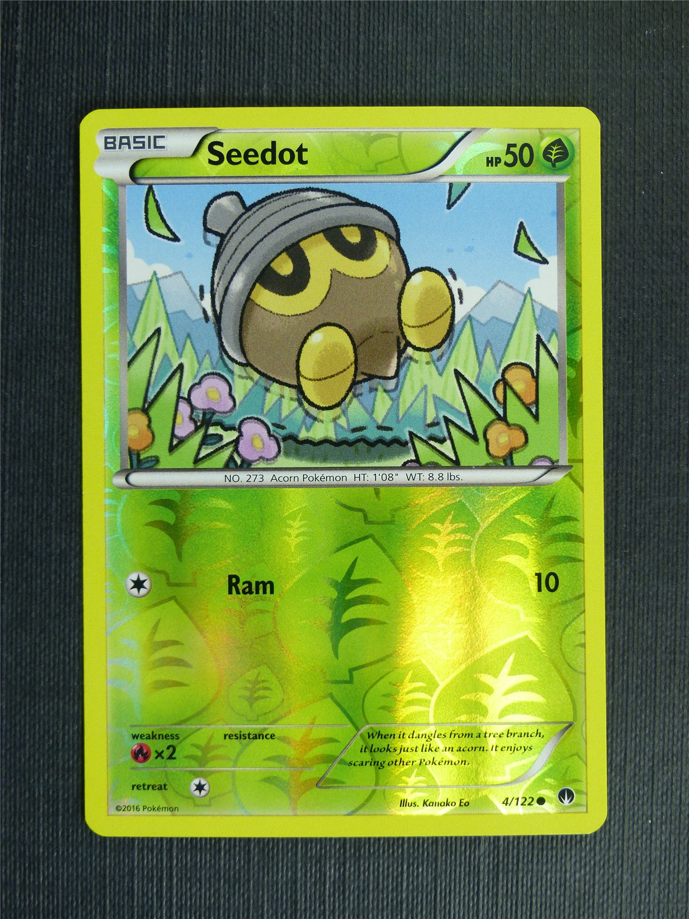 Seedot 4/122 Reverse Holo - Pokemon Cards #1FY