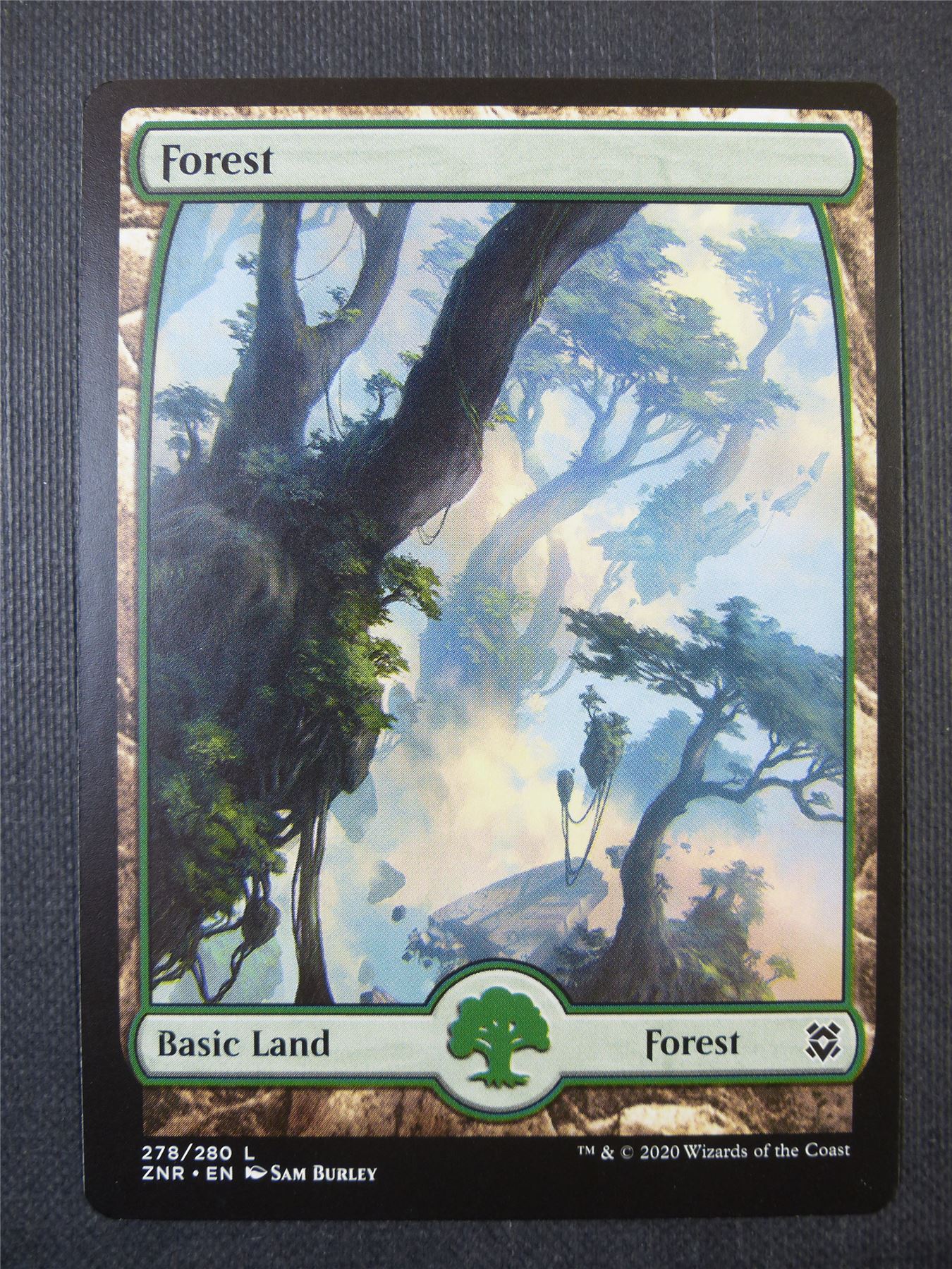 Forest 278/280 Full Art - Mtg Card #8XL