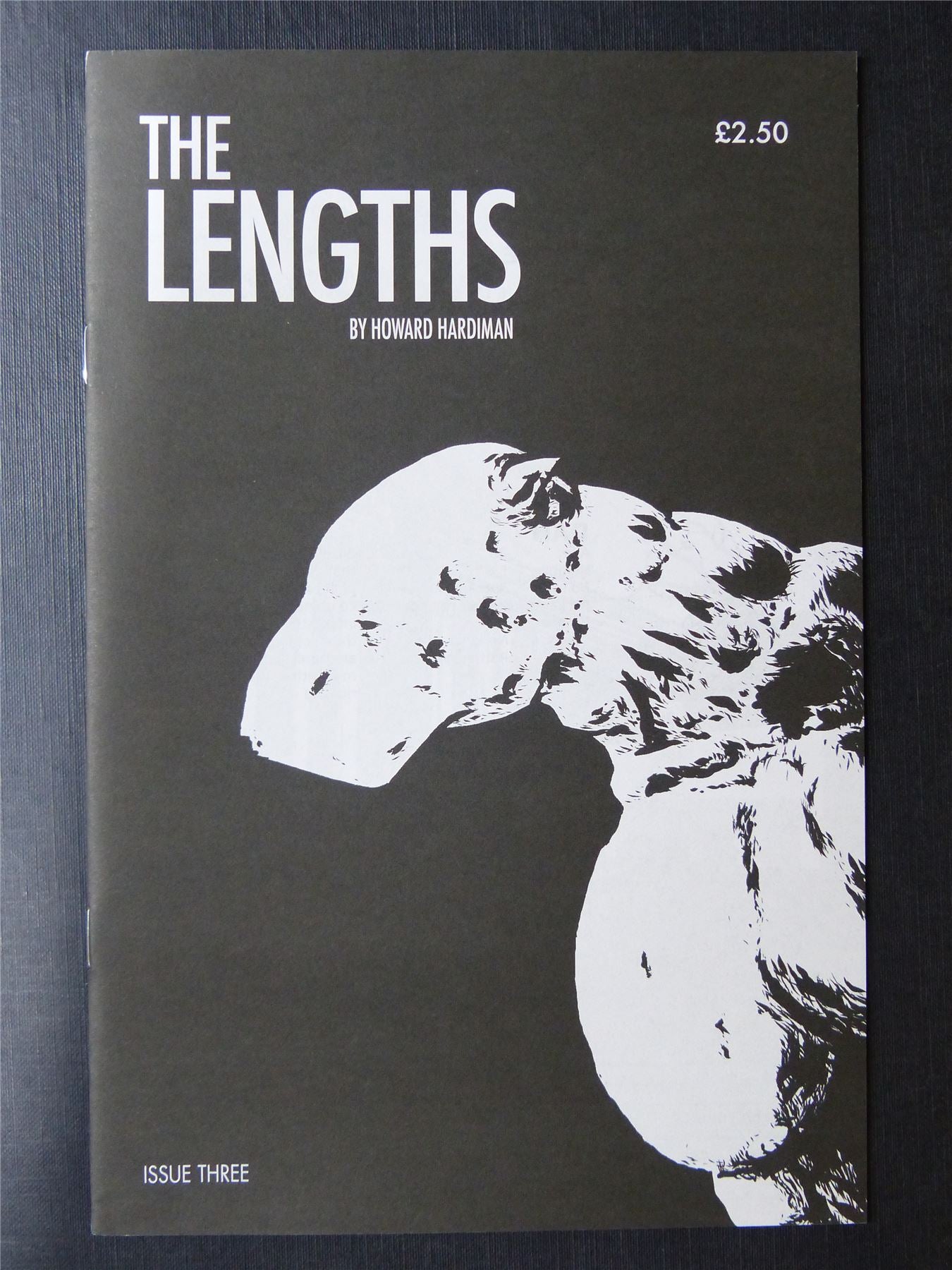 The LENGTHS #3 - Comics #AW