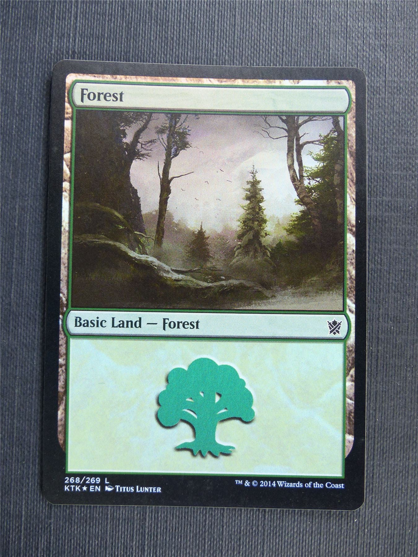 Forest 268/269 Foil - Mtg Magic Cards #521