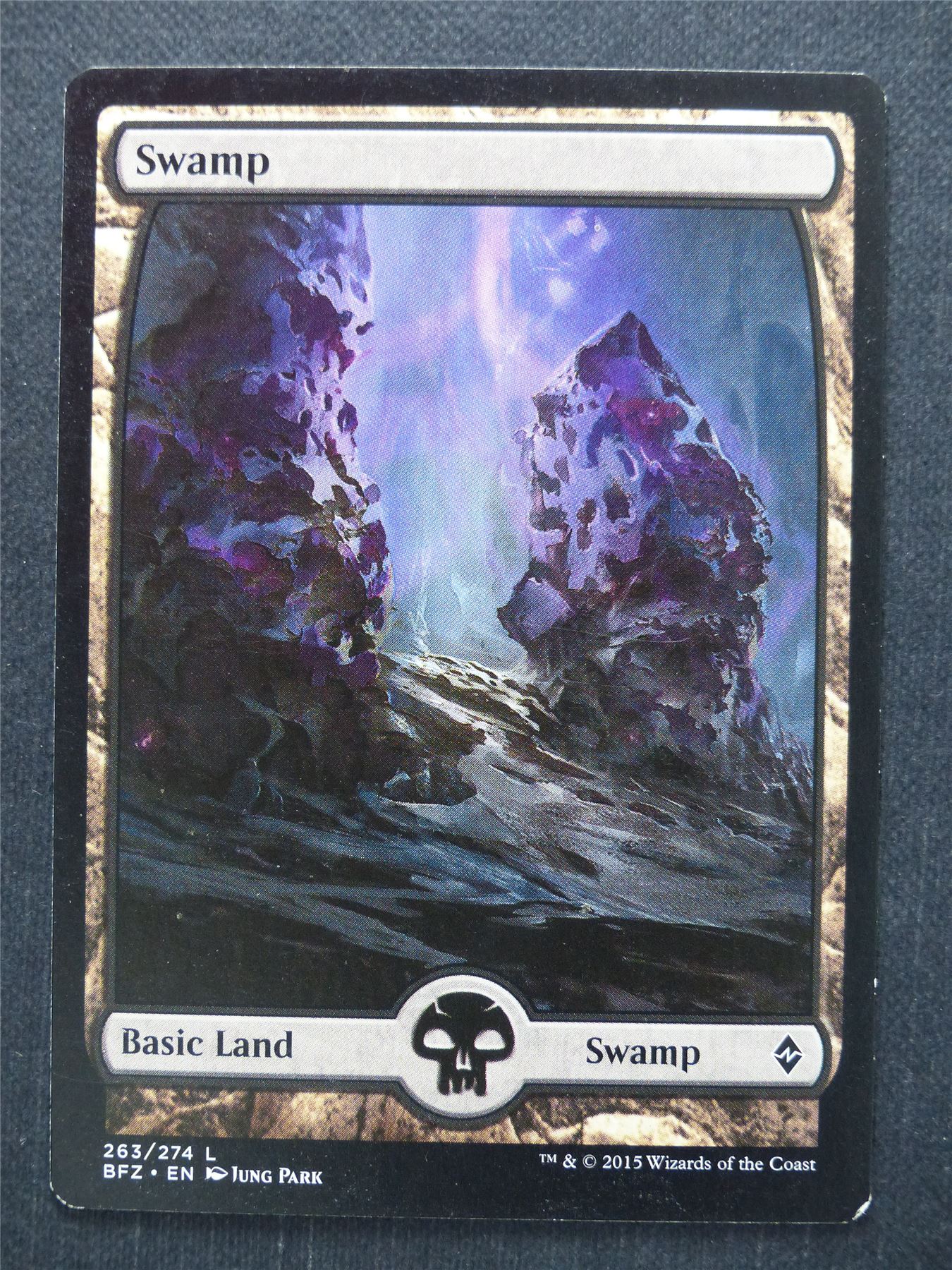 Swamp 263/274 Full Art - Mtg Magic Card #BJ