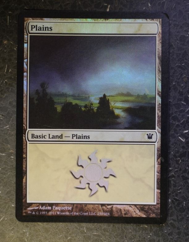 MTG Magic Cards Foil: PLAINS 250/264 # 10E60