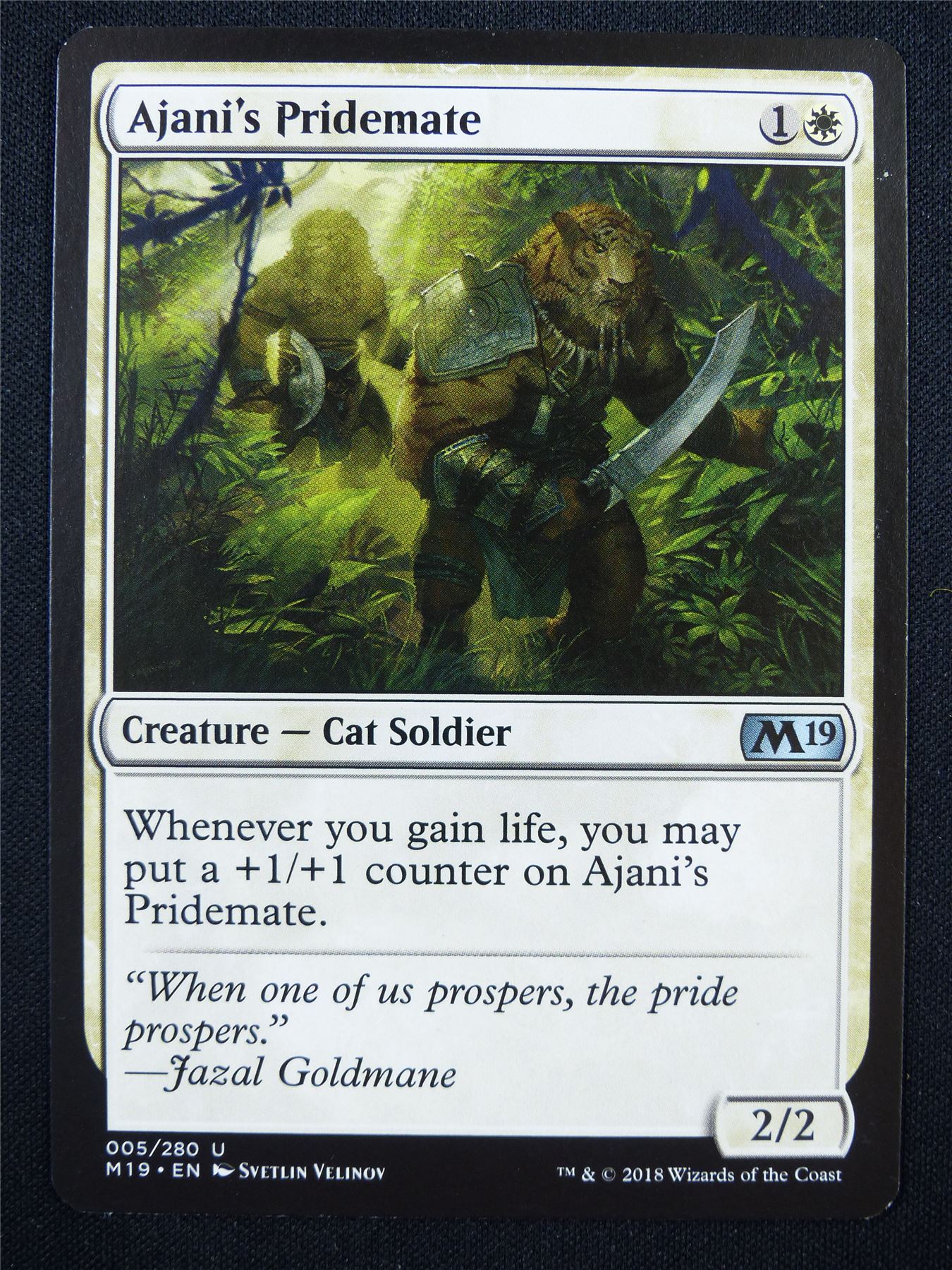 Ajani's Pridemate - Mtg Card #2AY