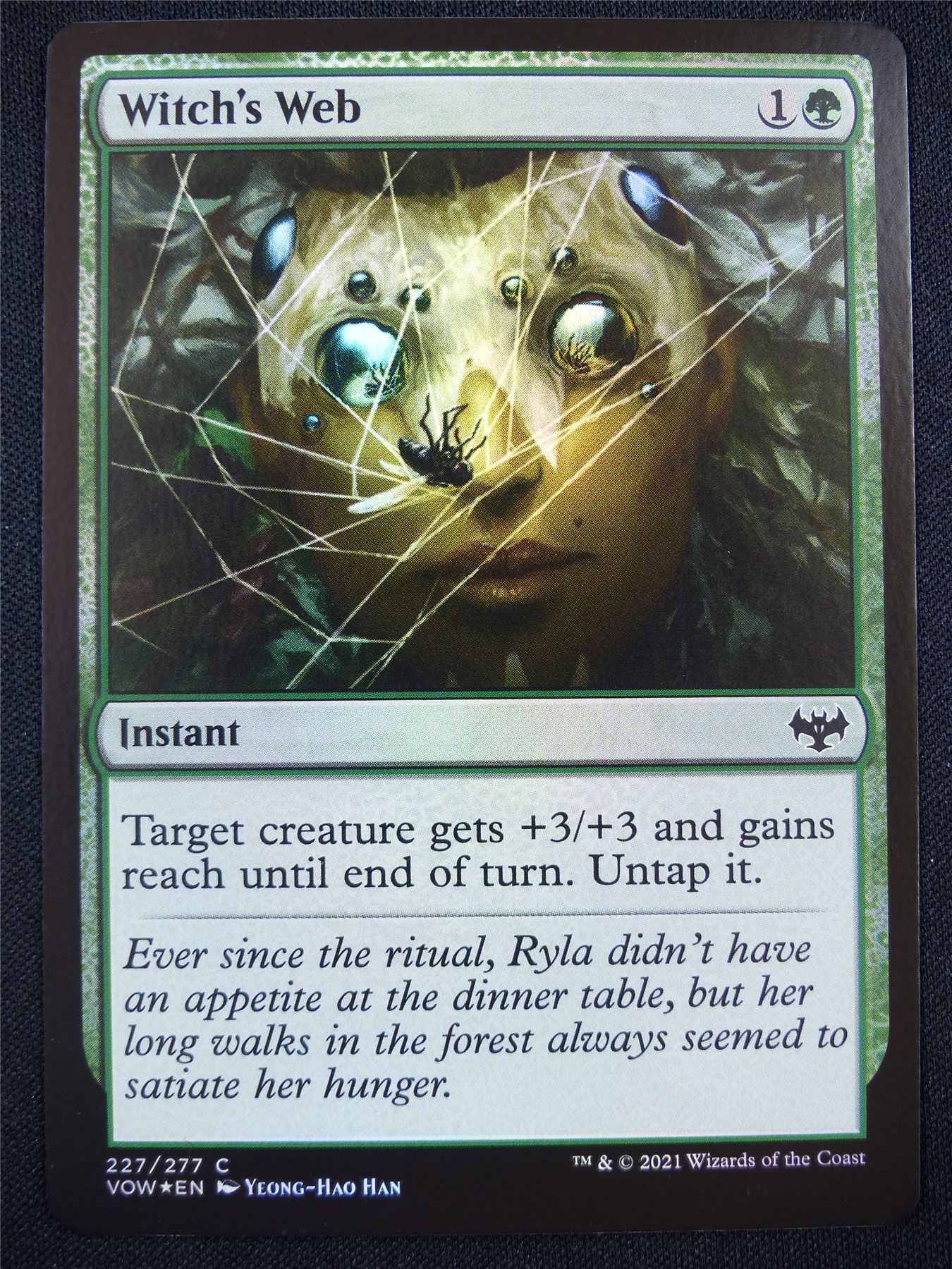 Witch's Web Foil - Mtg Card #1JD