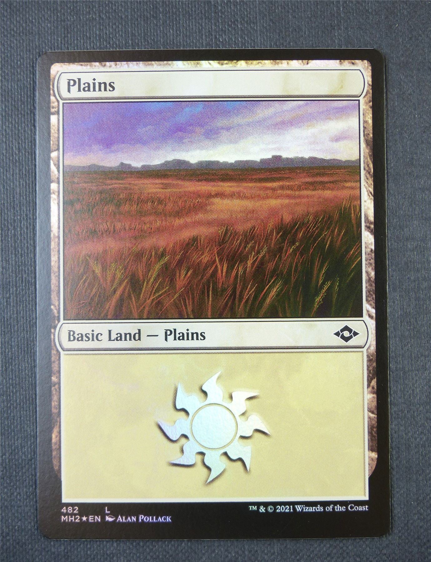 Plains Foil - Land - Mtg Card #55C