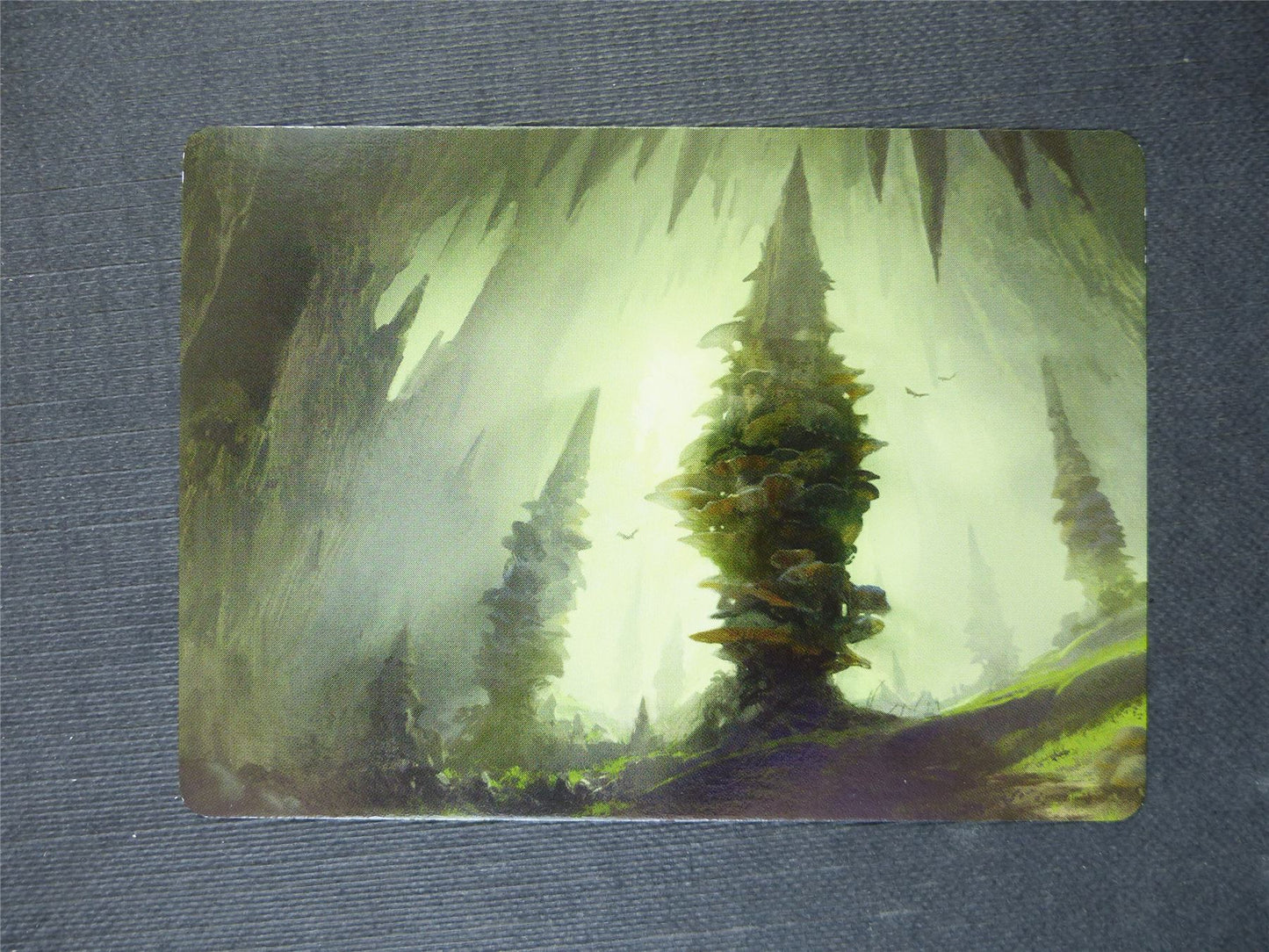 Forest #55 - Forgotten Realms Art Series - Mtg Card #5HF