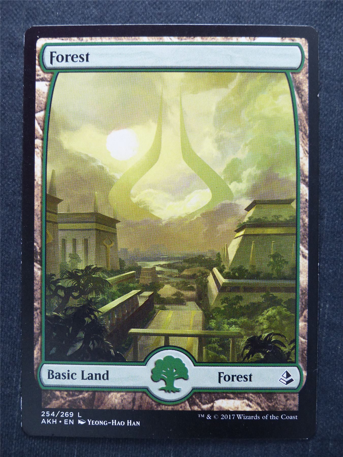 Forest 254/269 Full Art - Mtg Magic Card #BV
