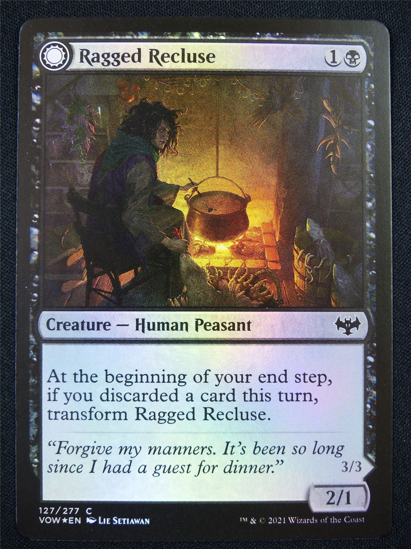 Ragged Recluse Foil - Mtg Card #1NQ